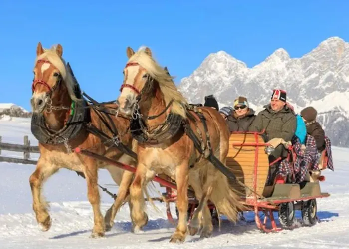 Naturnah Appartement Schladming