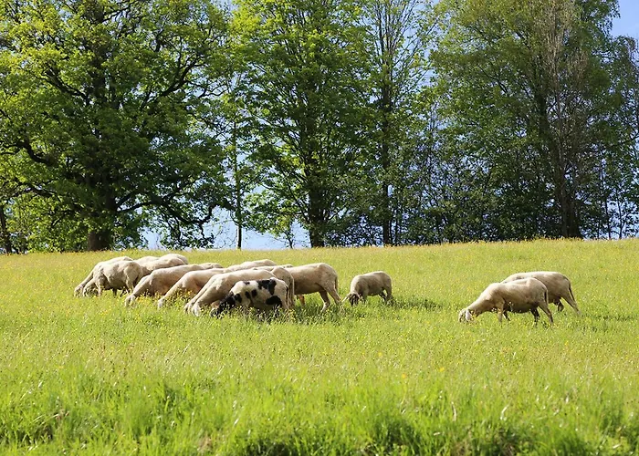 Naturnah * Schladming