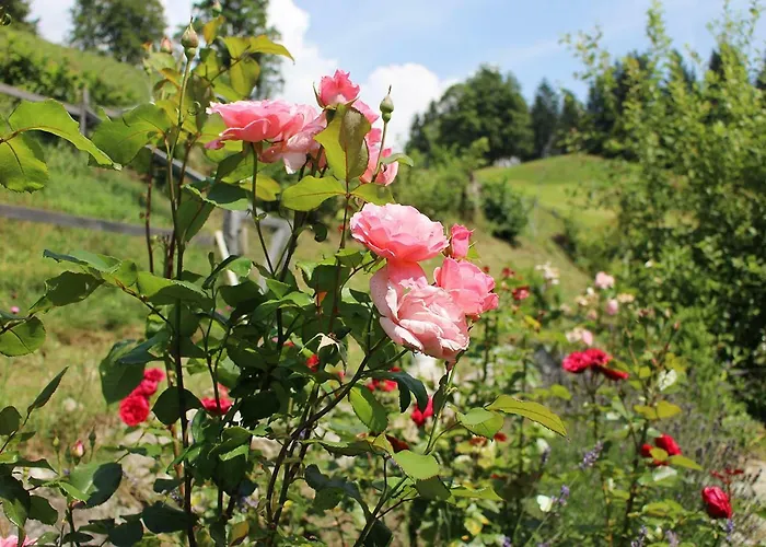 Appartement Naturnah